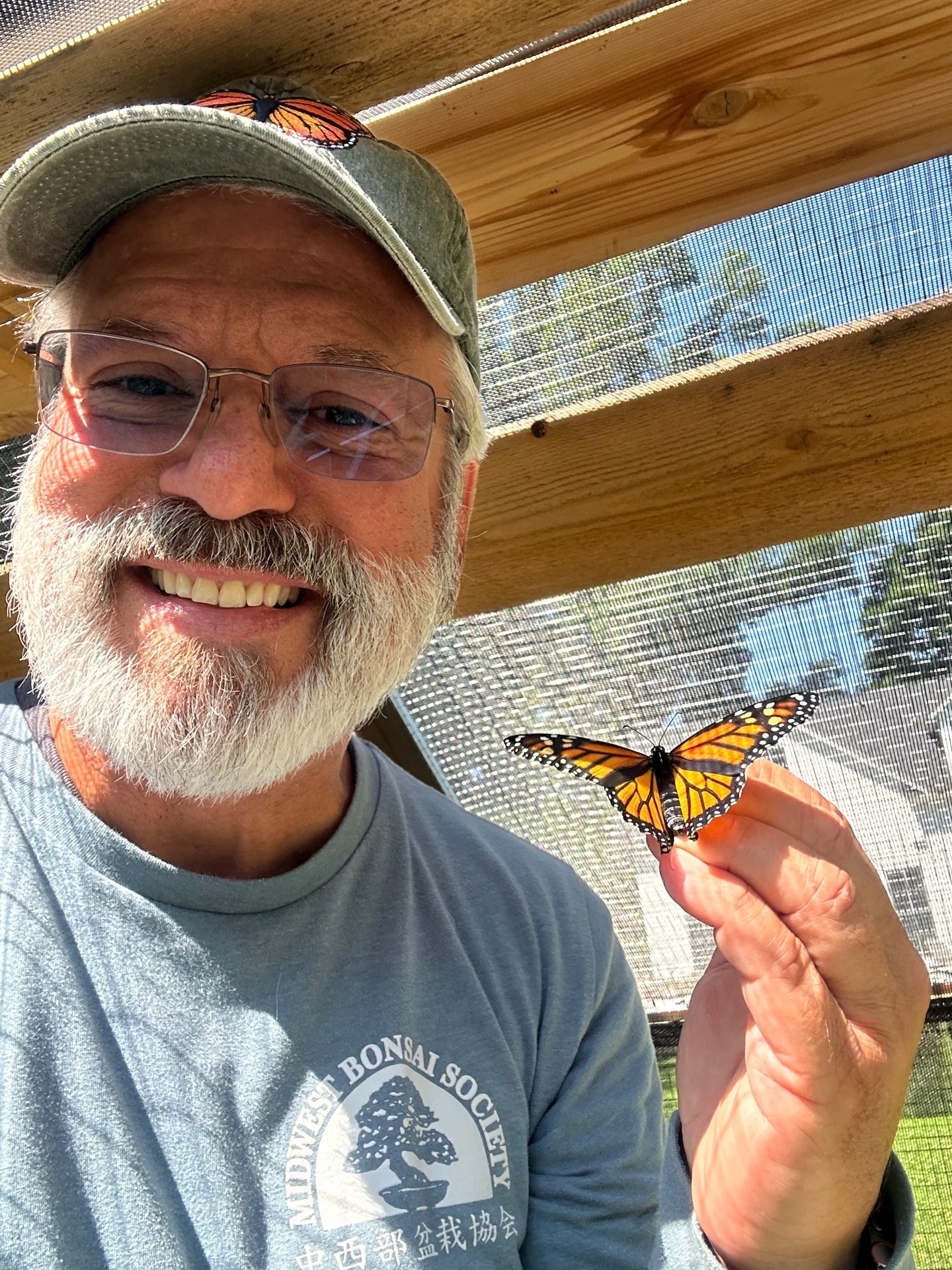 Bob releasing a new female Monarch from the nursery