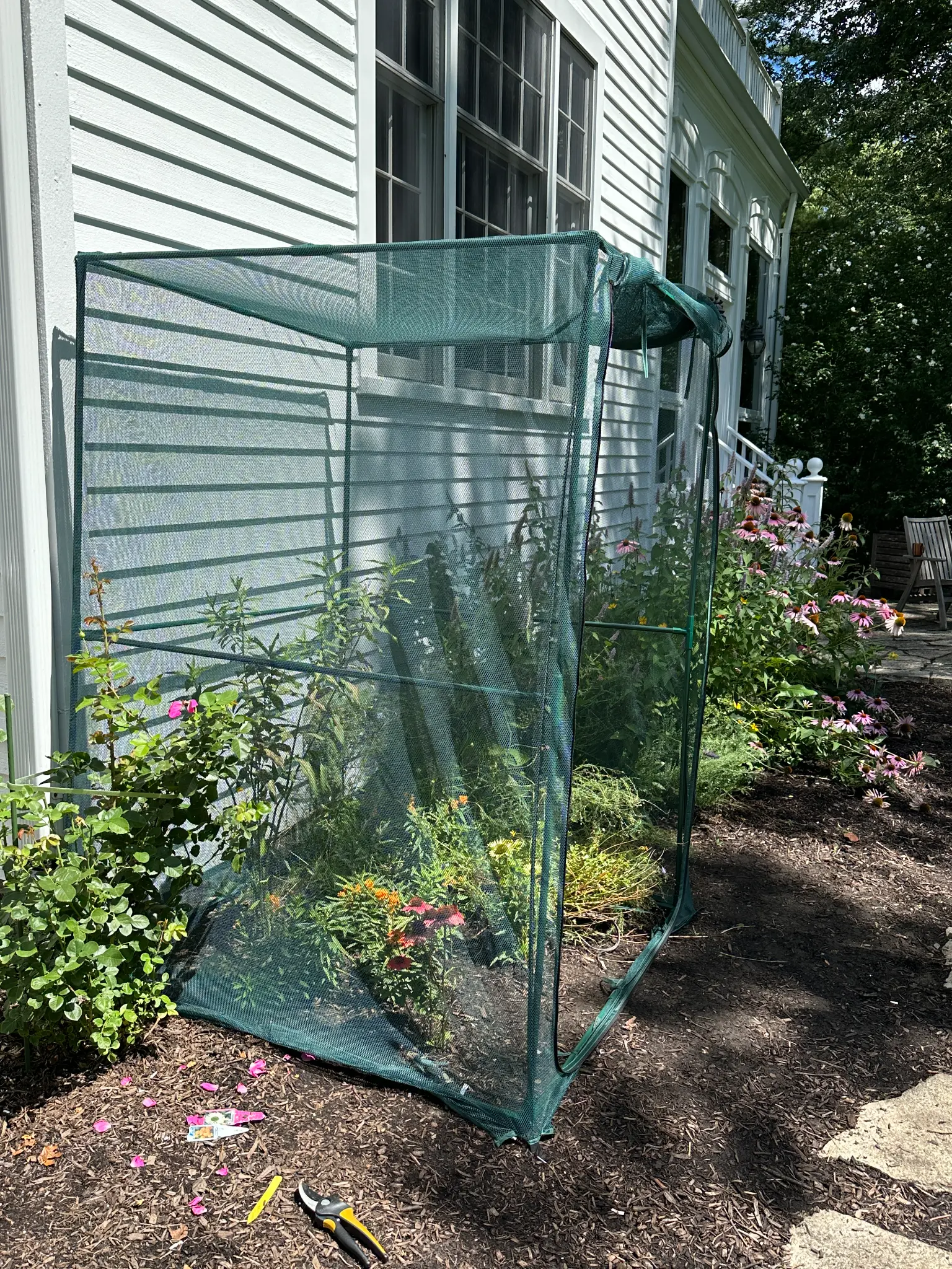 The mesh cage nursery surrounded by native plantings and coneflowers