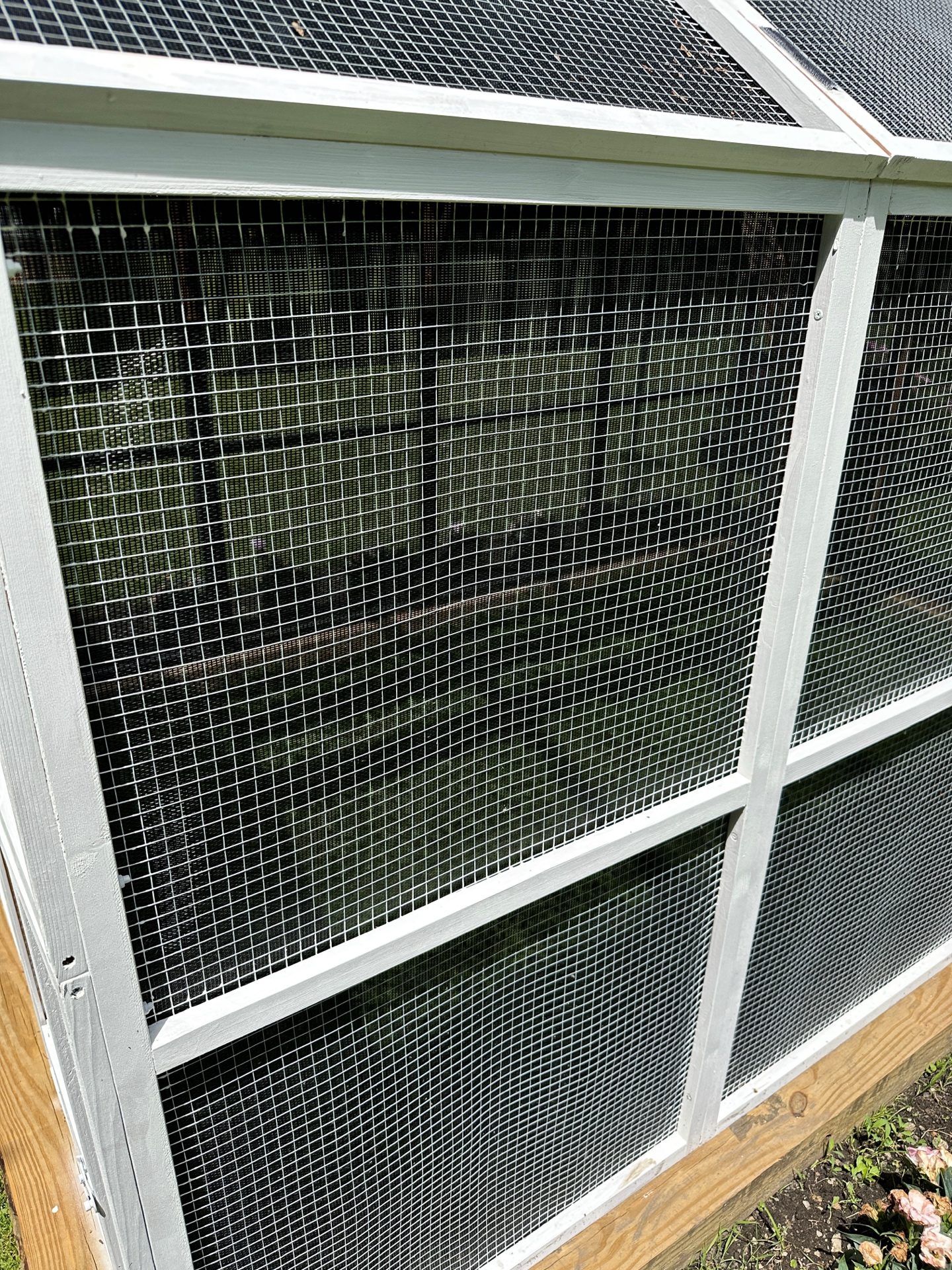 Close-up of the white cedar frame with metal mesh and fiberglass screening