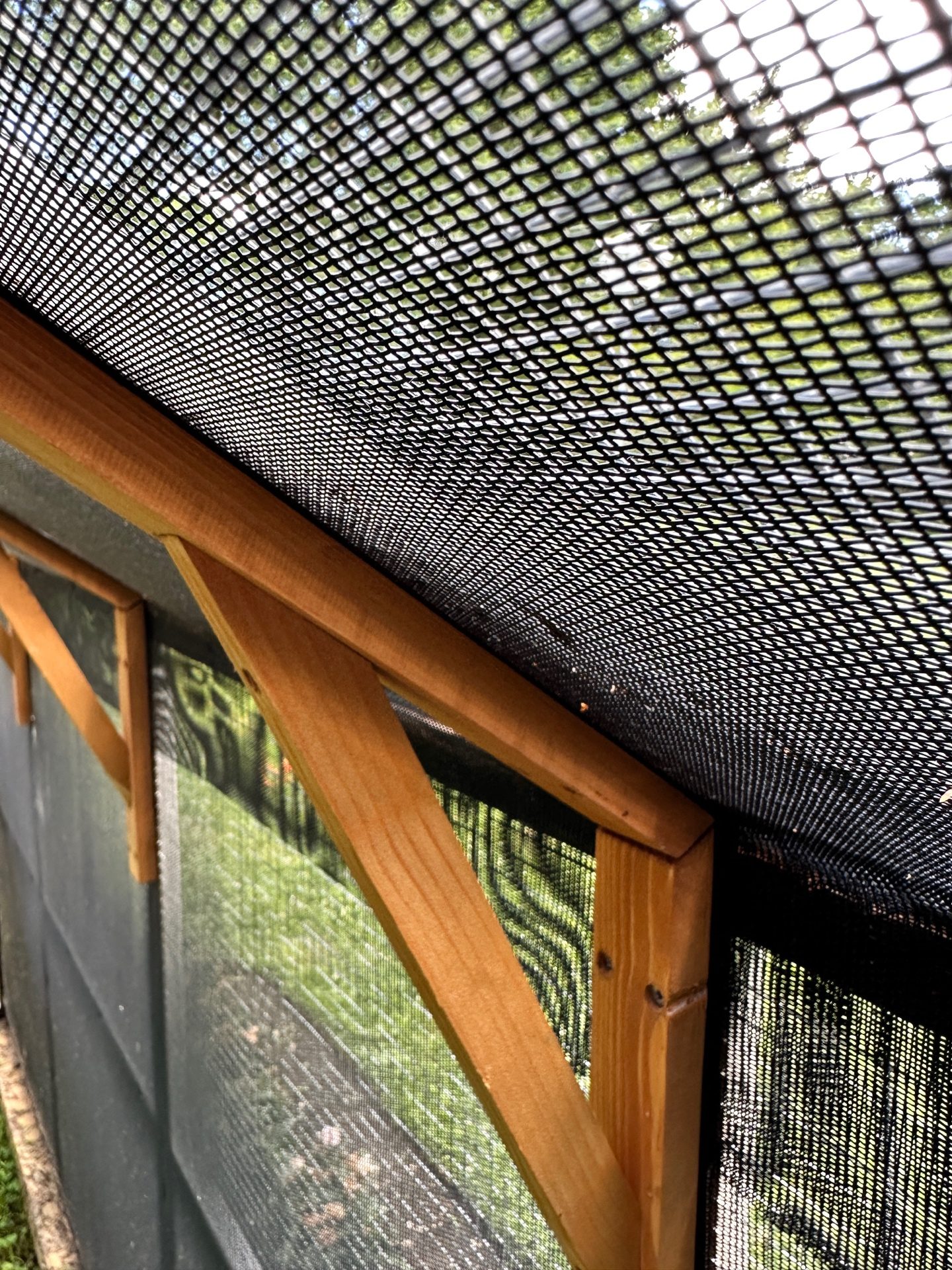 Interior view showing the double-layered mesh roof and cedar bracing